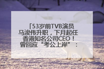 53岁前TVB演员马浚伟升职，下月起任香港知名公司CEO！曾回应“考公上岸”：真不是公务员