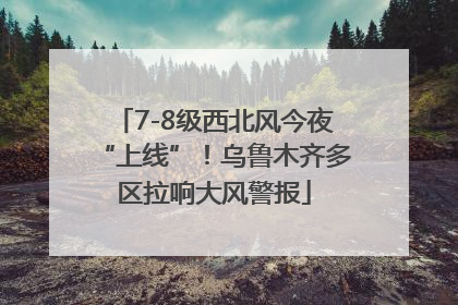 7-8级西北风今夜“上线”！乌鲁木齐多区拉响大风警报