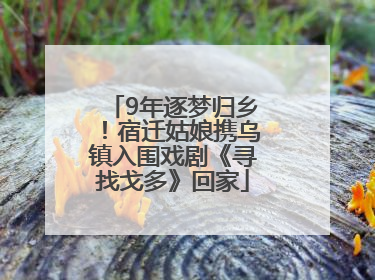 9年逐梦归乡！宿迁姑娘携乌镇入围戏剧《寻找戈多》回家