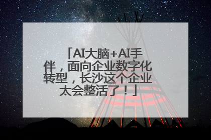 AI大脑+AI手伴，面向企业数字化转型，长沙这个企业太会整活了！
