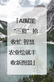 AI赋能“三夏”抢收忙 智慧农业绘就丰收新图景