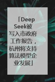 DeepSeek被写入市政府工作报告，杭州将支持算法模型企业发展