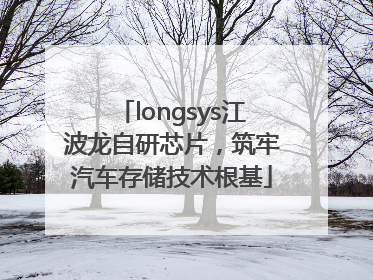 longsys江波龙自研芯片，筑牢汽车存储技术根基